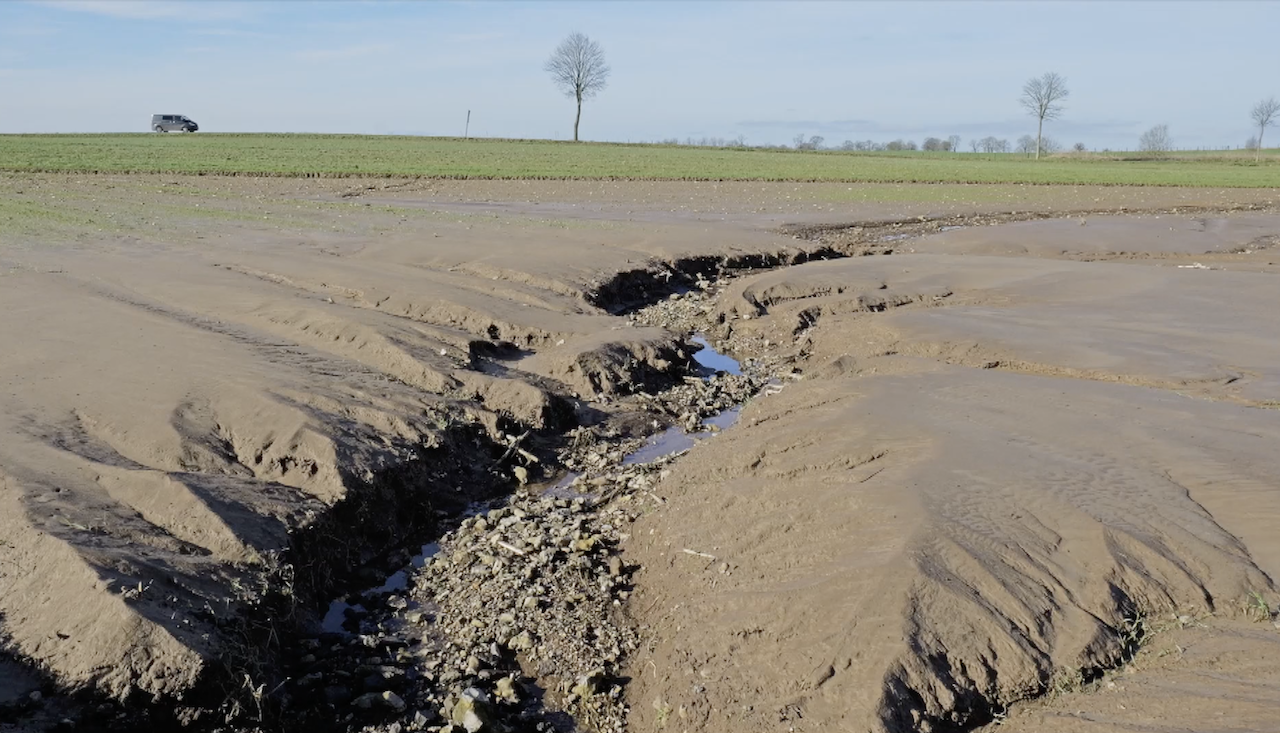 Au fil de l'eau, de l'insouciance &agrave; la d&eacute;sob&eacute;issance