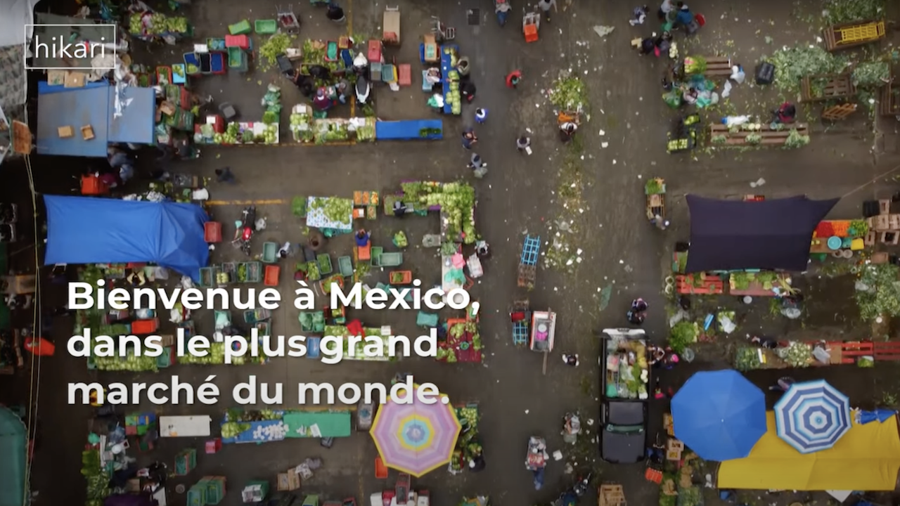 Mexique : Abastos, au coeur du plus grand march&eacute; du monde