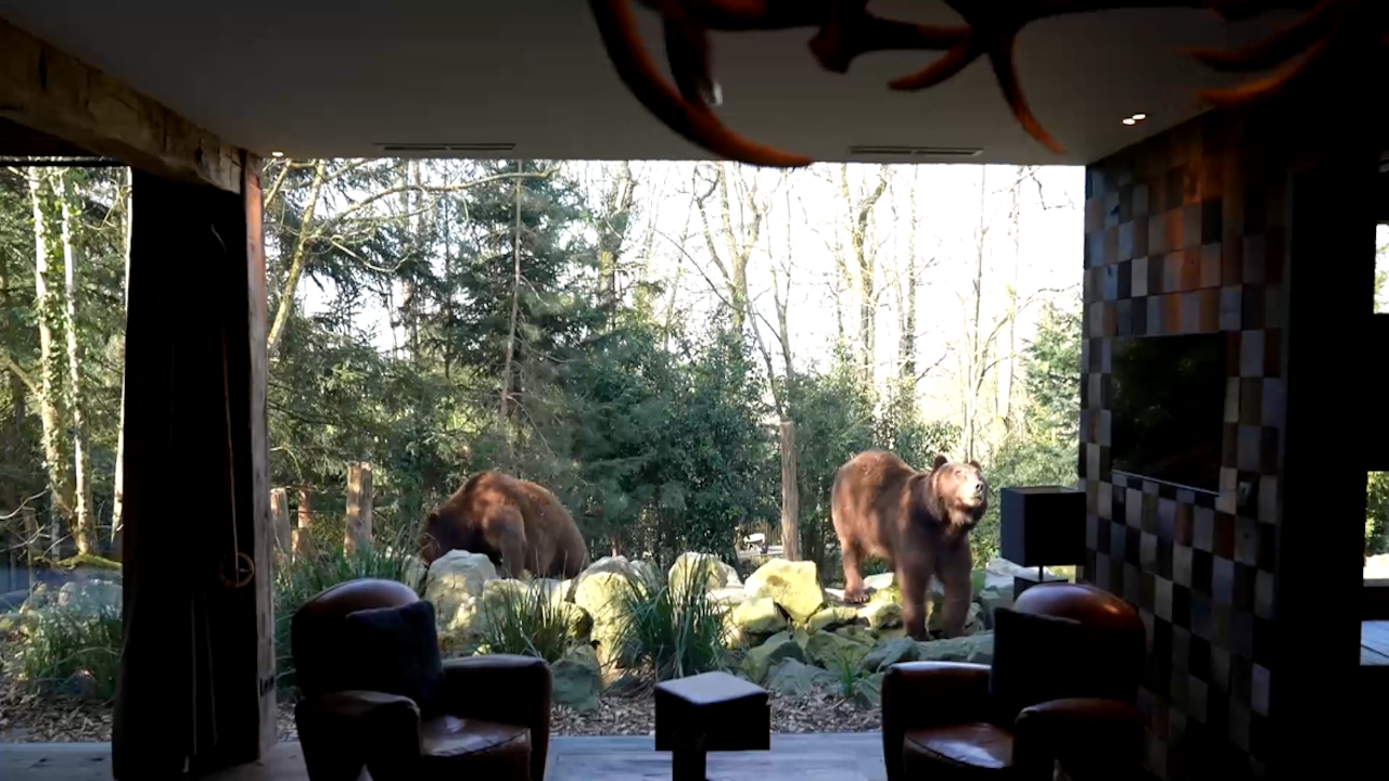 Zoo de la fl&egrave;che : l'&eacute;vasion sans quitter la France