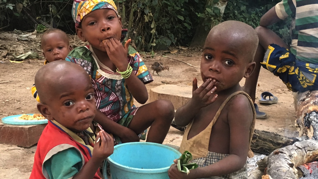 Cameroun : la terreur verte